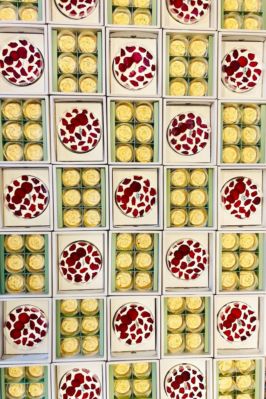 感謝企業TCI 大江生醫選擇【SMOK製甜所】最強組合